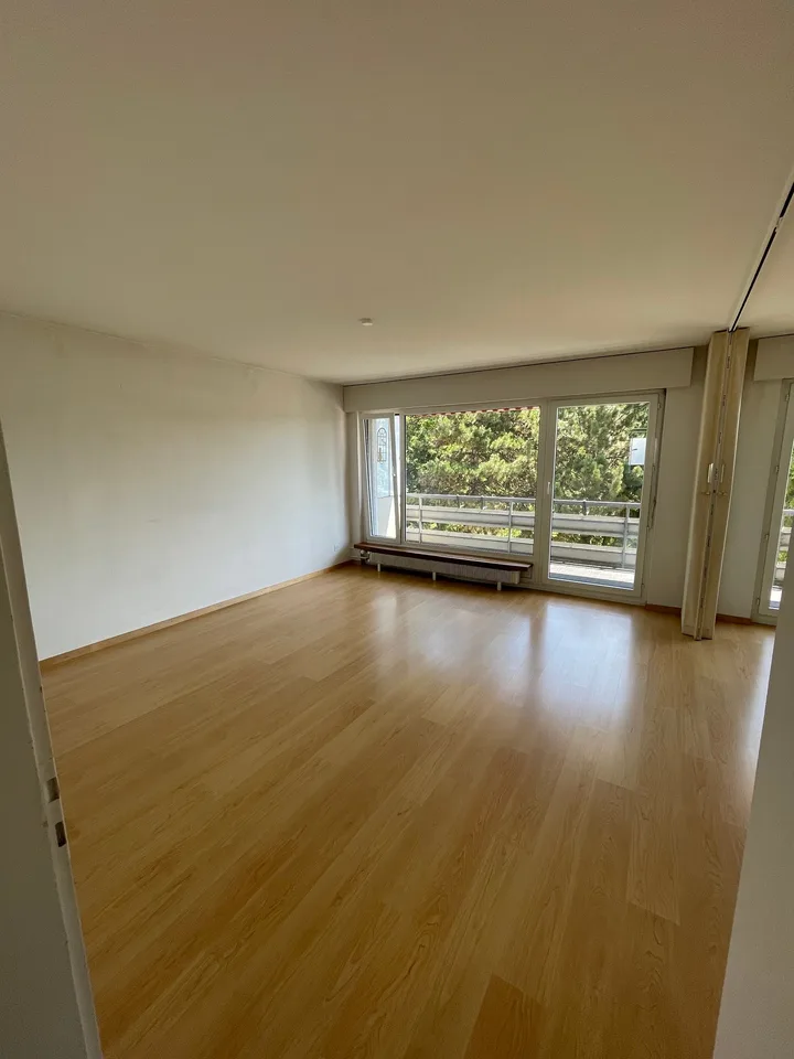 Affascinante appartamento di 4 locali con balcone a Ins