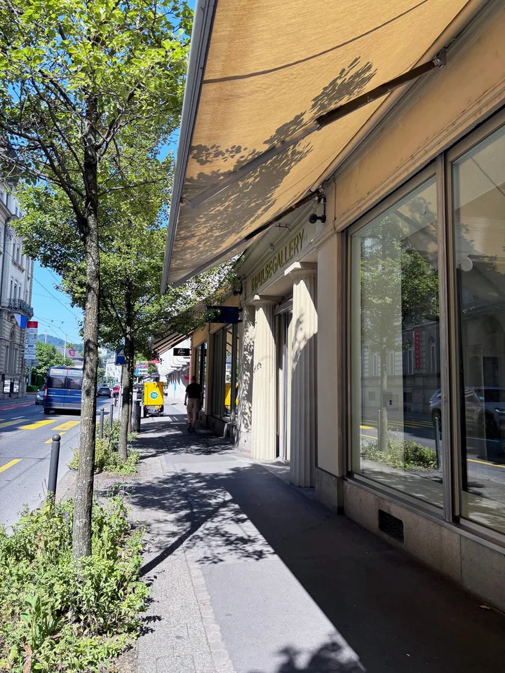 Exklusive Räume an der Haldenstrasse in Luzern