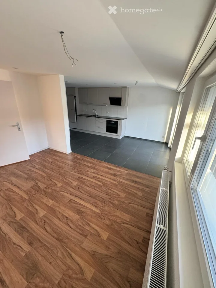 Schöne 2.5 Zimmer Dachwohnung mit grosser Terrasse