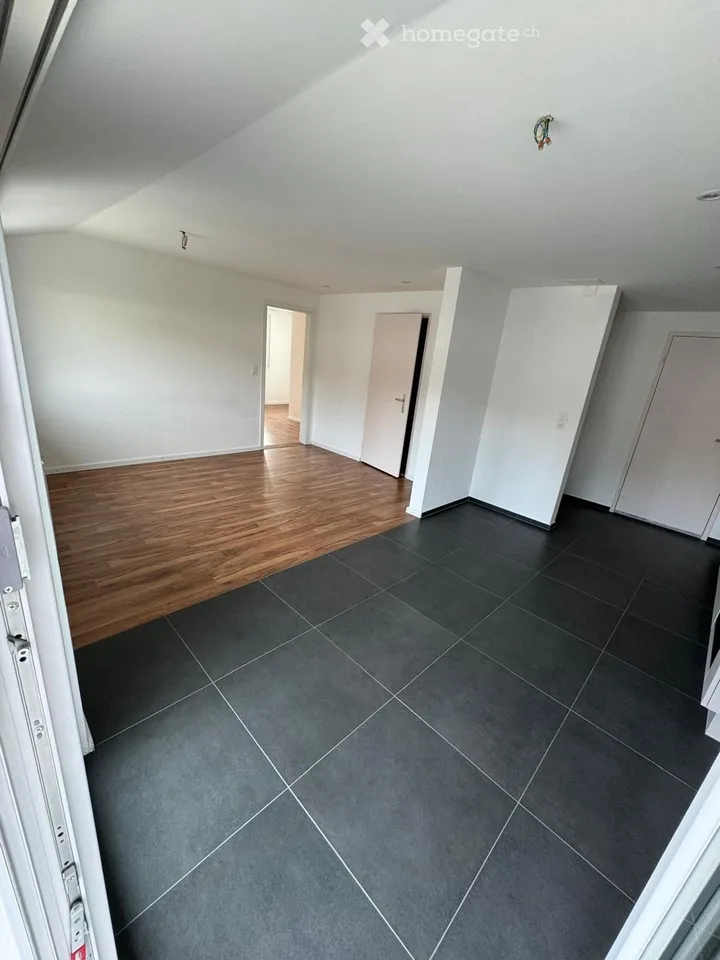 Schöne 2.5 Zimmer Dachwohnung mit grosser Terrasse