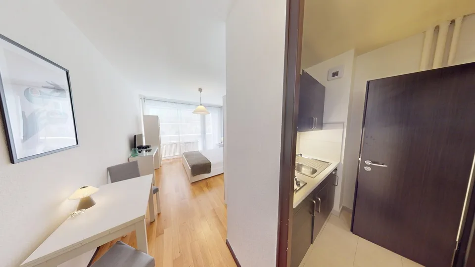 Wohlgelegenes Studio-Apartment im Plainpalais-Viertel von Genf