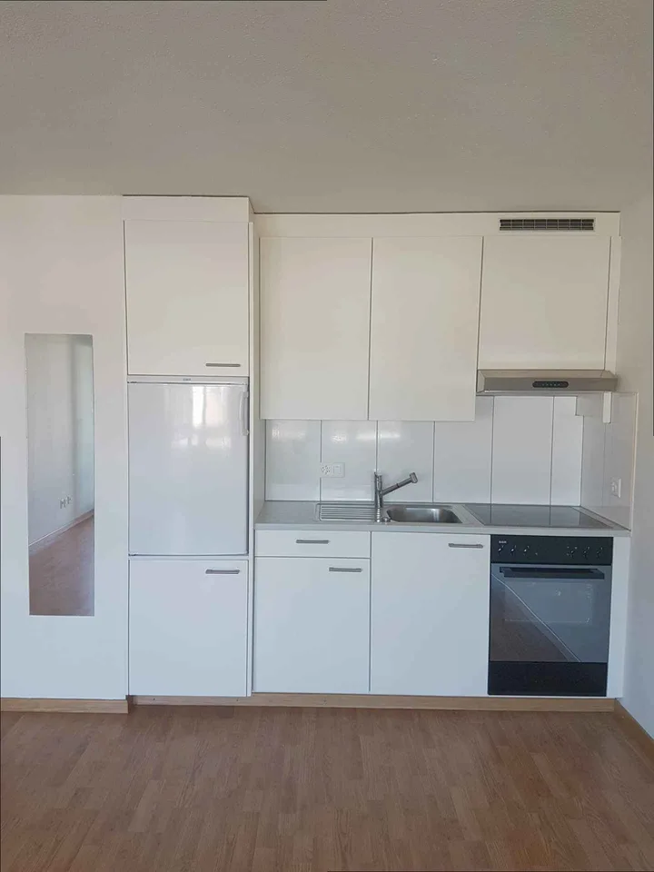 Delizioso appartamento monostanza in affitto!