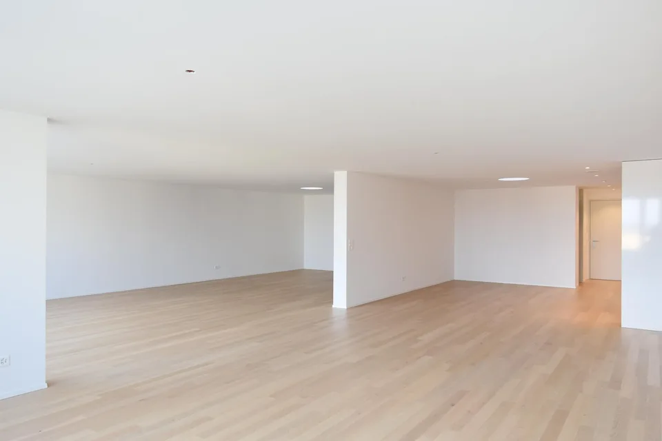 Loft moderno a Romanshorn