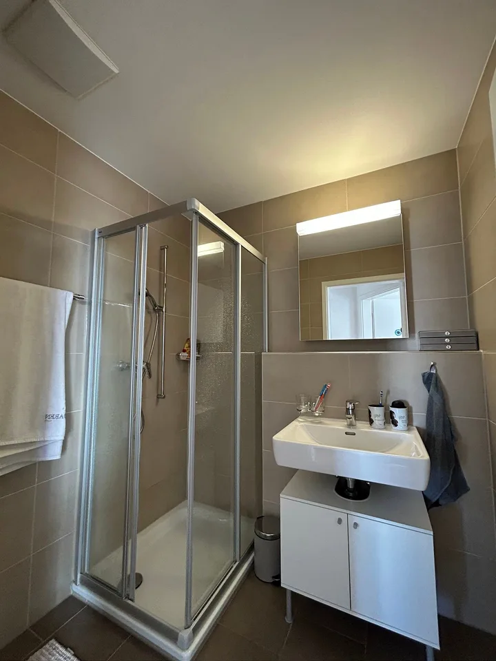 02983 - Appartamento 3 Locali (B45) - RTE WILHELM-KAISER 9 - FRIBOURG – foto 8 di 9