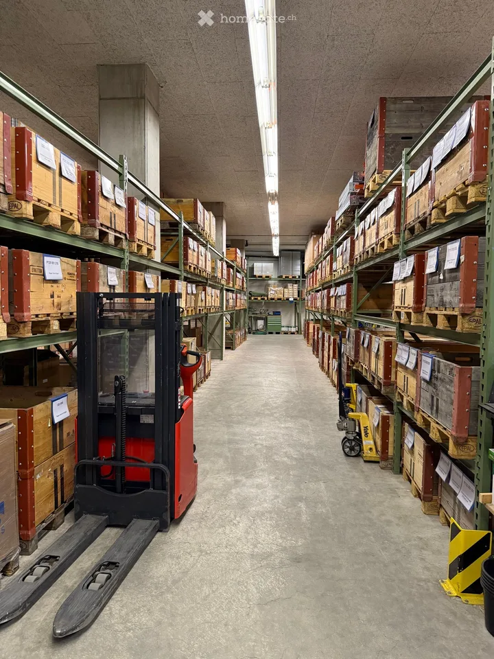 Spazio di stoccaggio industriale con stoccaggio a scaffalatura alta e ascensore per merci e rampa di carico per camion in co-utilizzo