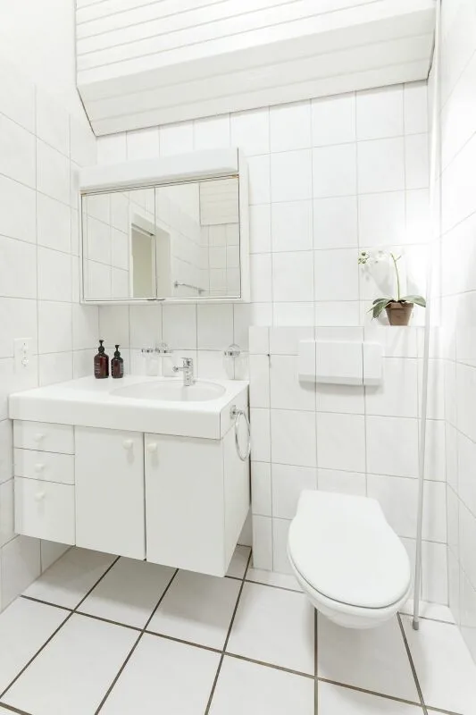 4.5-Zimmer Dachwohnung in Reinach – Foto 9 von 18