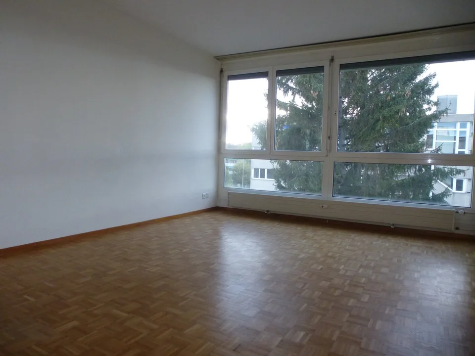 Gepflegte Wohnung in zentraler in Lage Muttenz (ohne Balkon)