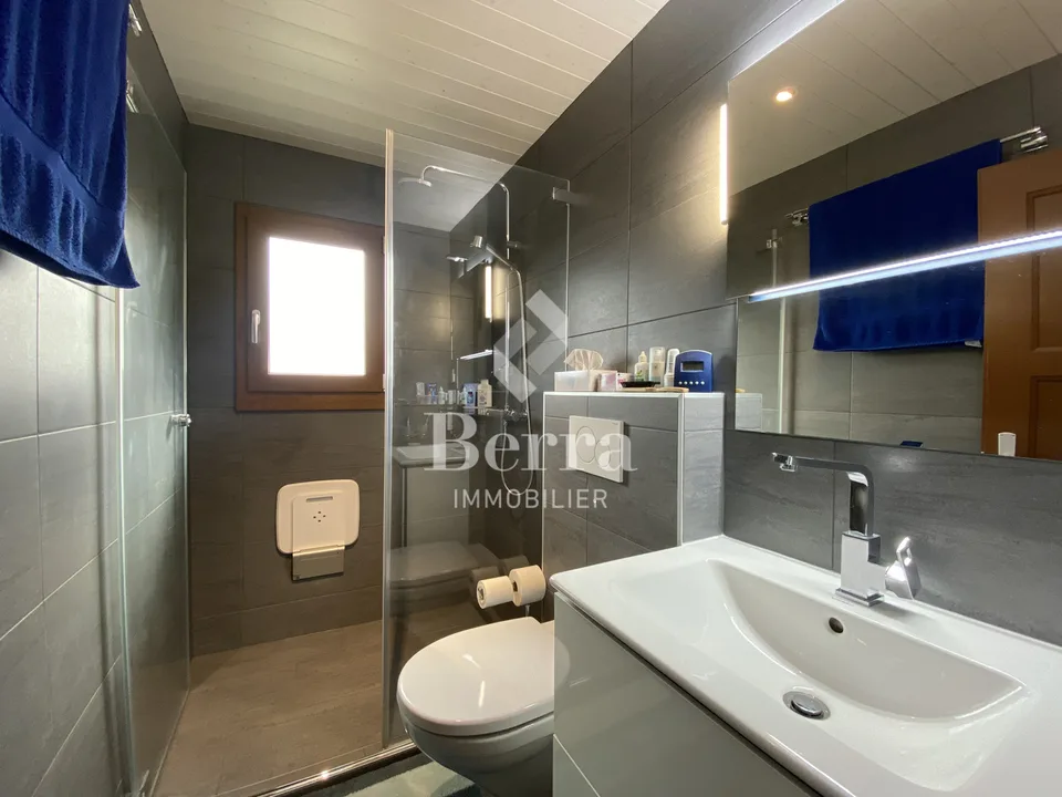Bellissimo chalet ristrutturato con studio indipendente e vista panoramica sul Lago di Ginevra