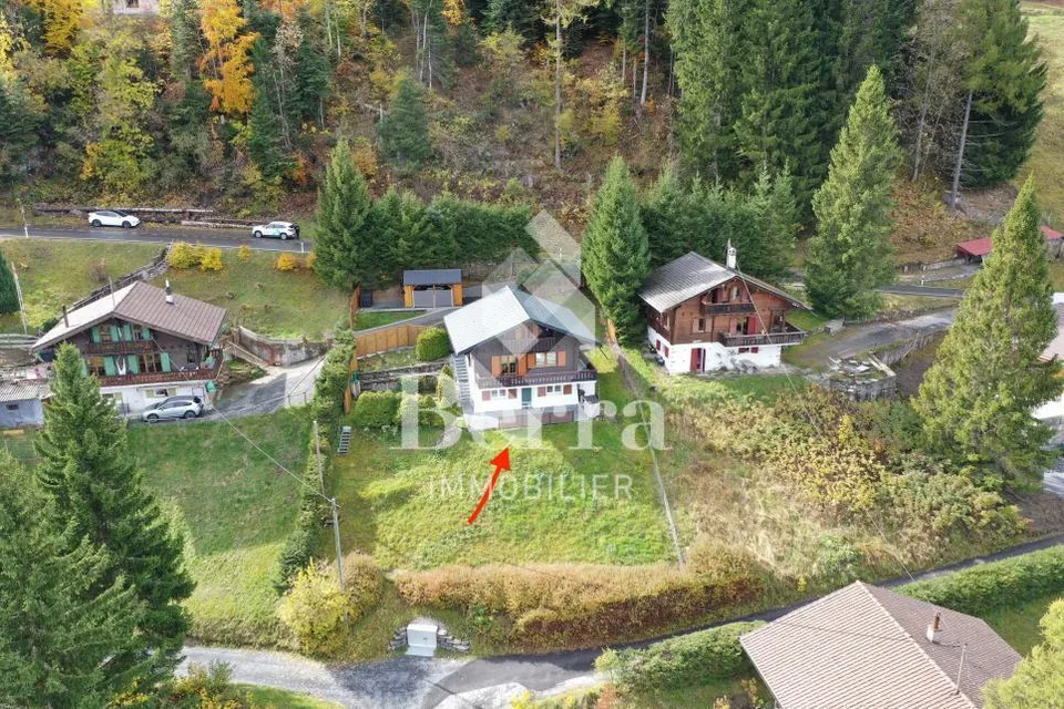Bellissimo chalet ristrutturato con studio indipendente e vista panoramica sul Lago di Ginevra
