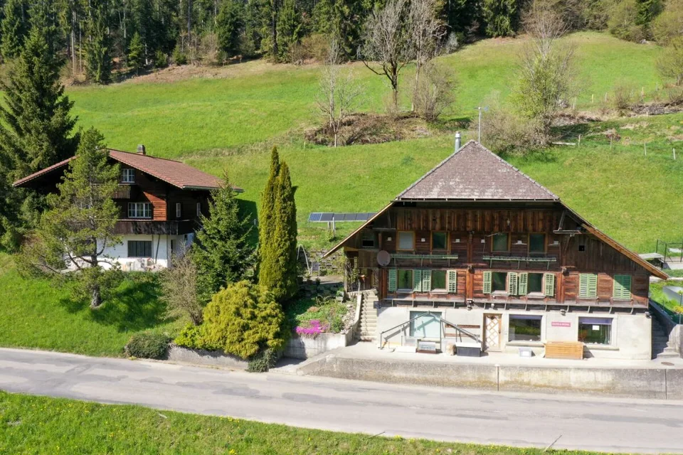 Two residential houses including studio and shop