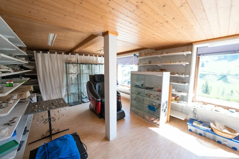 Deux maisons d'habitation avec atelier et magasin – photo 7 sur 30