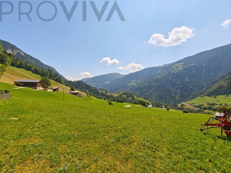 2'769 m² Bauland im Herzen des Goms