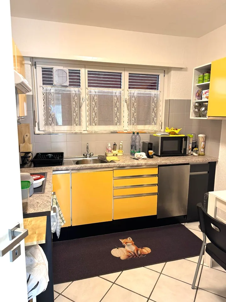 Gemütliche 3.5-Zimmer-Wohnung mit Balkon und Panoramablick in Sementina