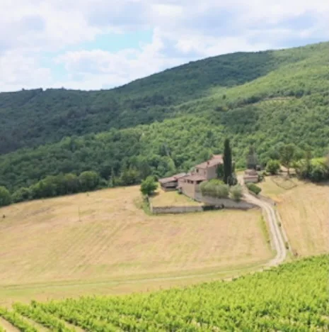Villa in Stile Toscano con Dependance, Piccolo Vigneto e Oliveto