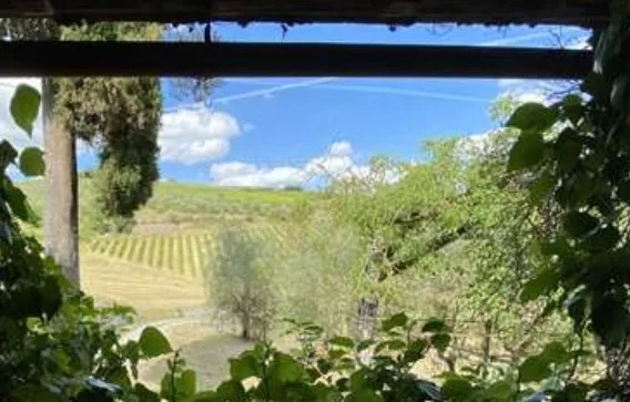 Villa in Stile Toscano con Dependance, Piccolo Vigneto e Oliveto – Foto 8 von 13