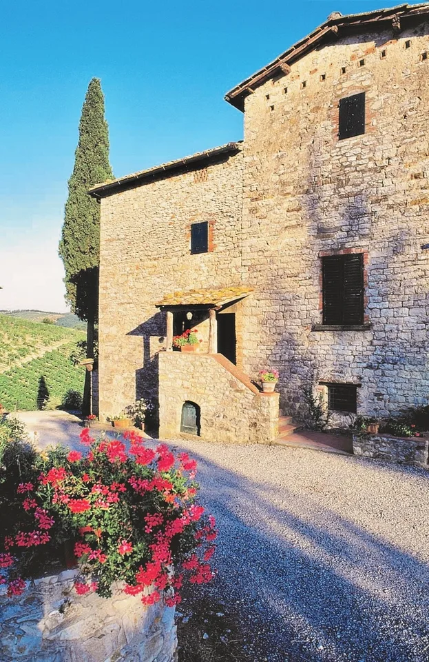 Villa in Stile Toscano con Dependance, Piccolo Vigneto e Oliveto – Foto 10 von 13