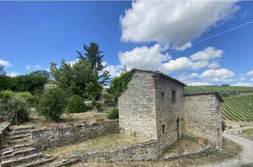 Villa in Stile Toscano con Dependance, Piccolo Vigneto e Oliveto – Foto 9 von 13