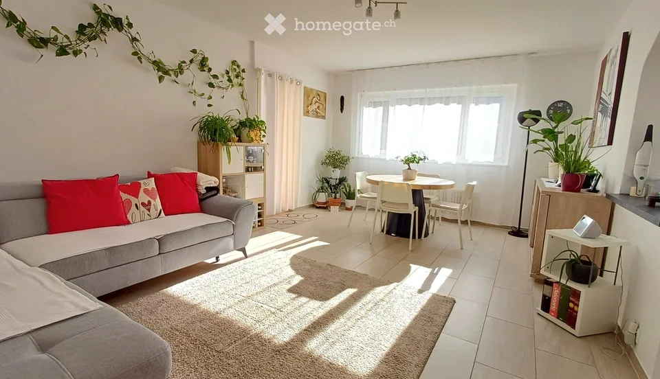 Ampio 3.5 ristrutturato con grande terrazza