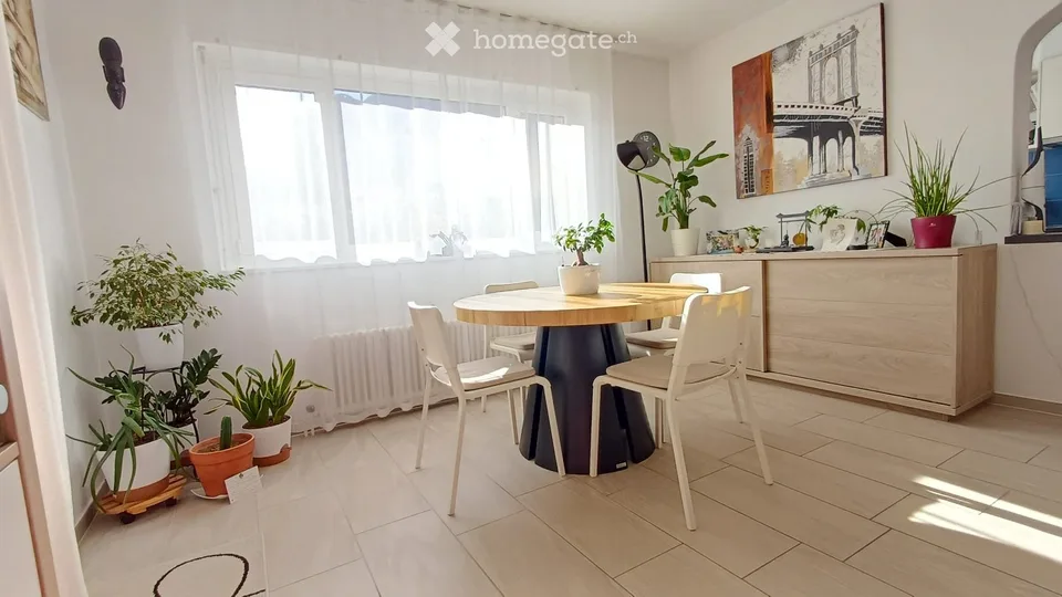 Ampio 3.5 ristrutturato con grande terrazza