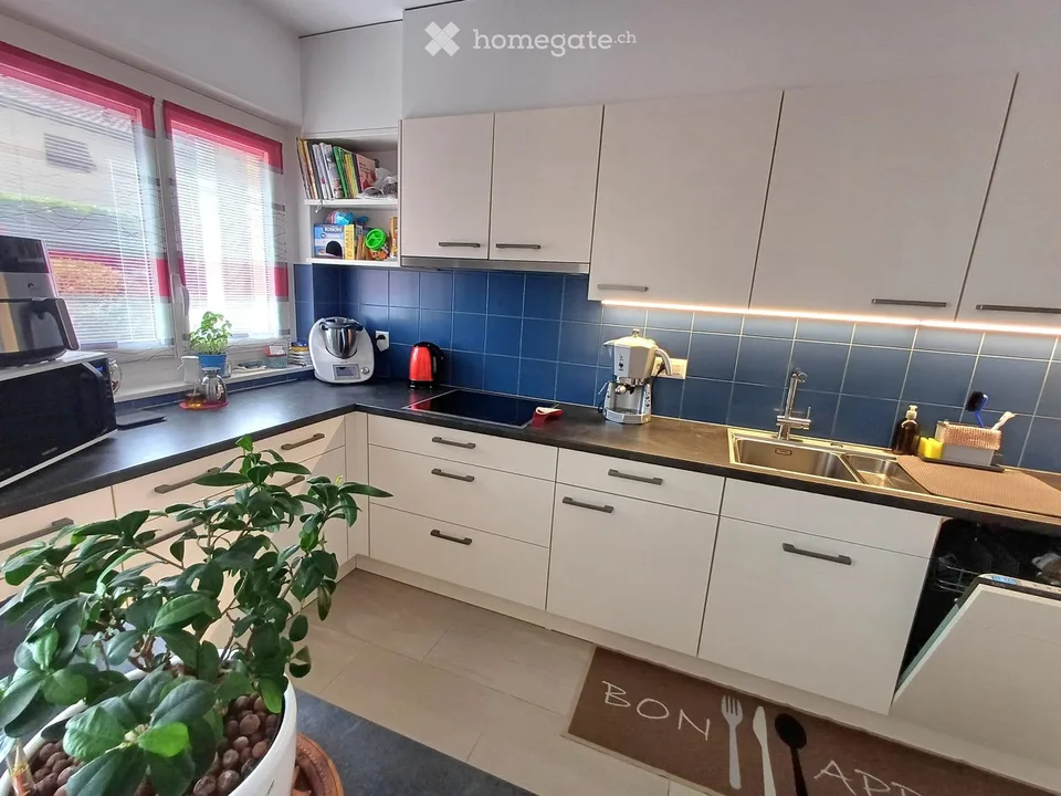 Ampio 3.5 ristrutturato con grande terrazza