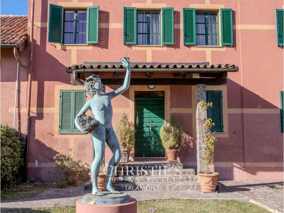 Azienda vinicola con vigneti e casa di campagna nel Monferrato - Serralunga di Crea – foto 8 di 13