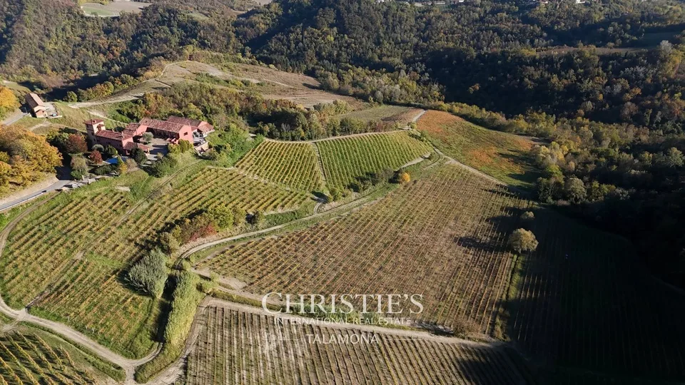 Azienda vinicola con vigneti e casa di campagna nel Monferrato - Serralunga di Crea