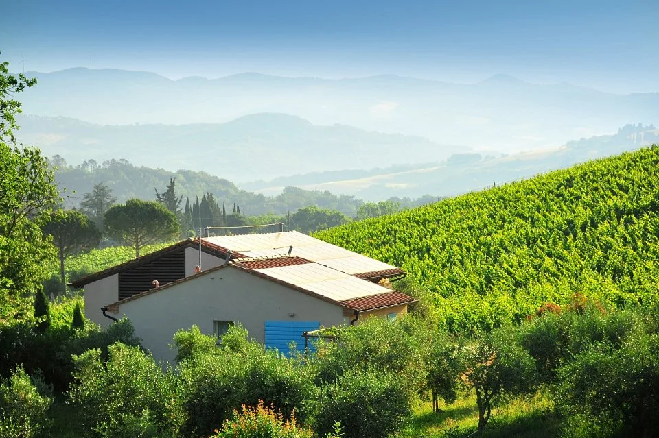 Azienda agricola biologica unica sulla costa toscana