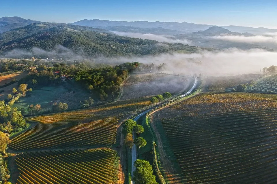 Azienda agricola biologica unica sulla costa toscana