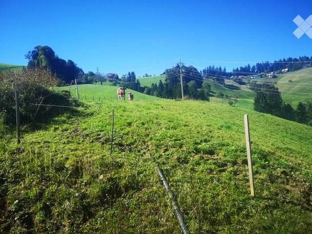 Oggetto da amare Emmental / Lauperswil