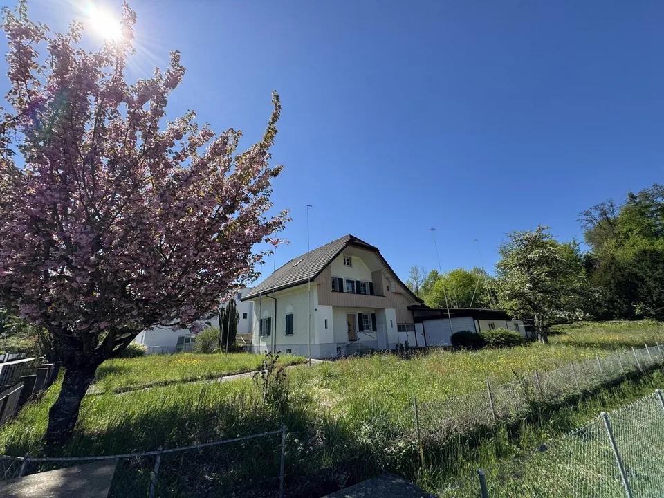 3.5 Z.-Attika-Wohnung (E), 93m2 Netto Wohnfläche, 86m2 Terrasse