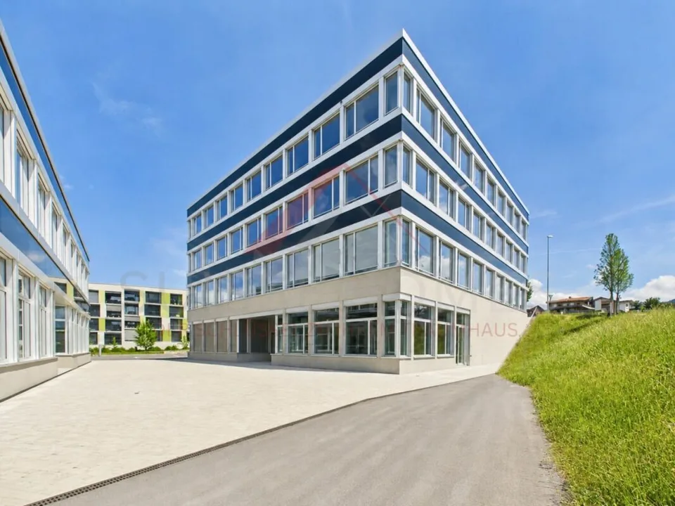 Gewerbefläche mit Zukunft - 160 m² im modernen Neubau in Buchrain