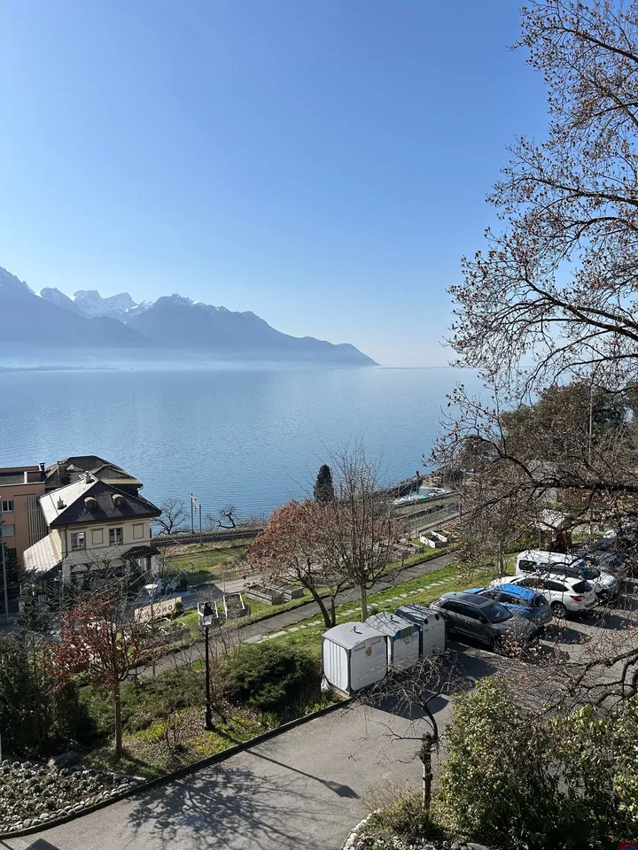 Gewinnbringendes Gebäude in der Nähe von Montreux mit Seeblick – 3 Wohnungen, Gärten, Terrassen – Foto 9 von 16