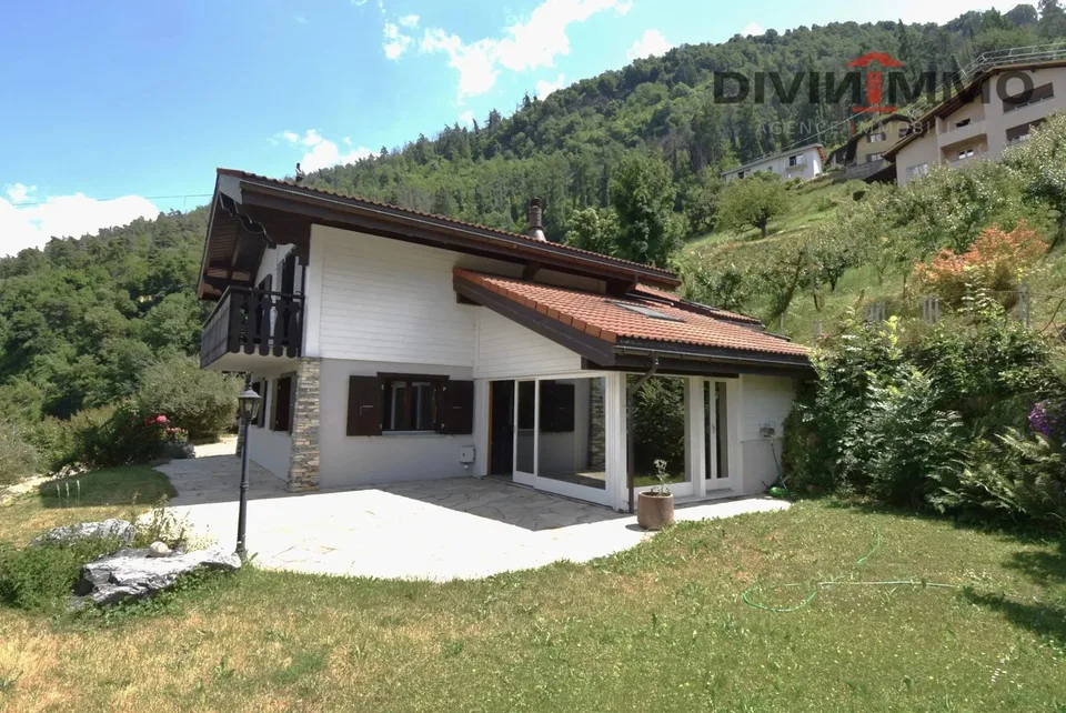Belle maison avec spa, garage et couvert