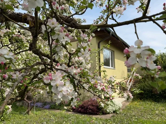 Bellissima casa individuale di 6,5 locali a Courroux
