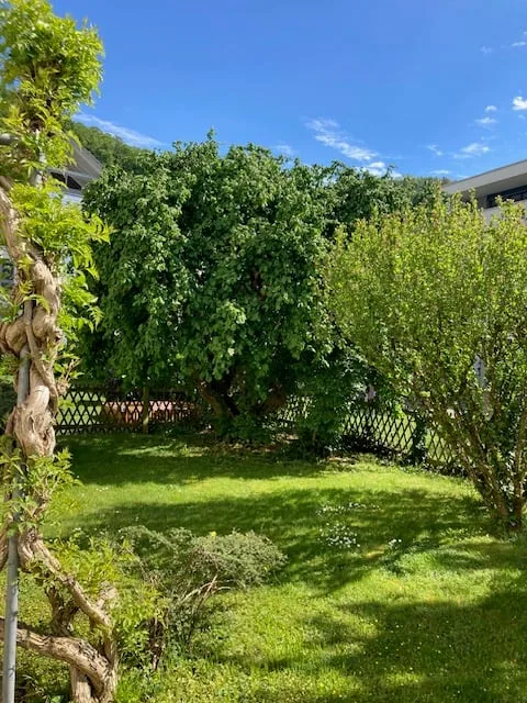 Grosse 4.5 -Zimmer-Gartenwohnung in Würenlingen – sofort verfügbar!