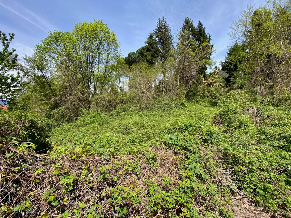 Schönes Baugrundstück in sonniger und ruhiger Lage mit traumhaftem Seeblick