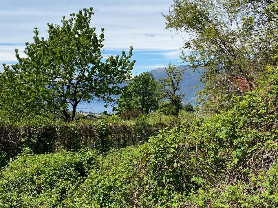 Bella area edificabile in posizione soleggiata e tranquilla con vista mozzafiato sul lago