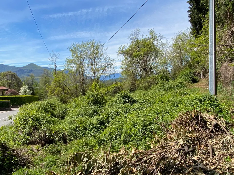 Bella area edificabile in posizione soleggiata e tranquilla con vista mozzafiato sul lago