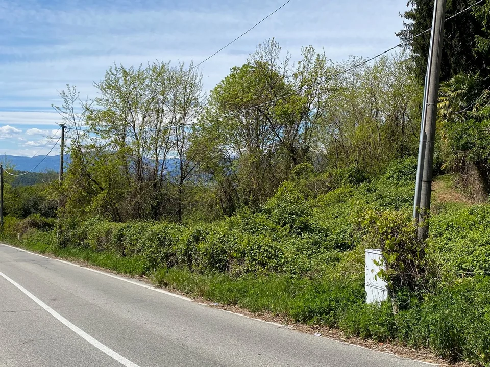Bella area edificabile in posizione soleggiata e tranquilla con vista mozzafiato sul lago