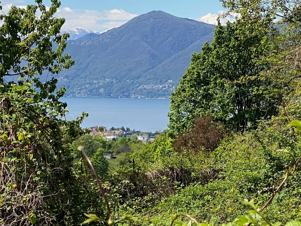 Bella area edificabile in posizione soleggiata e tranquilla con vista mozzafiato sul lago