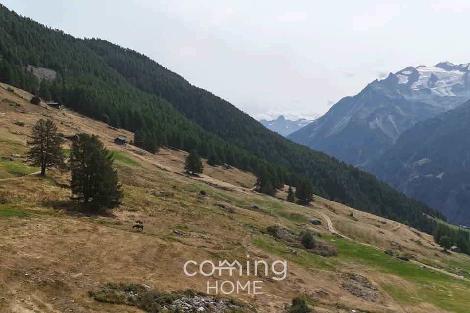 Bauparzelle in Gspon - 651 m² in alpiner Berglage mit eindrucksvollem Panorama