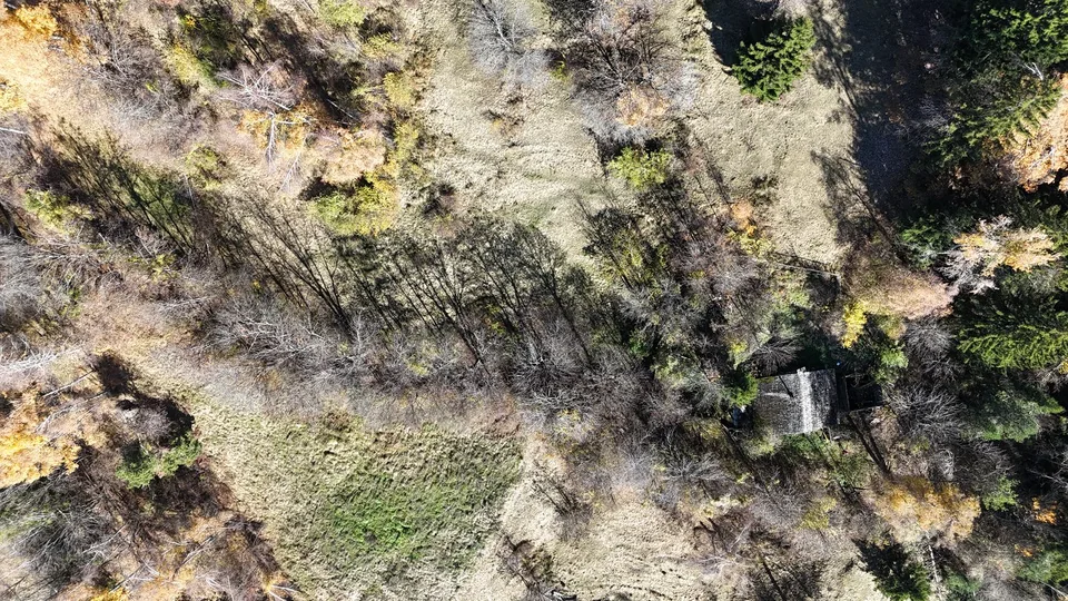 Terra agricola soleggiata con fienile vicino a Leukerbad