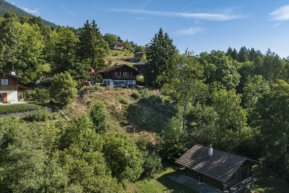 IHR SKIHAUS ZU BAUEN, 15 MINUTEN VON SION AUF DEN HOHEN!