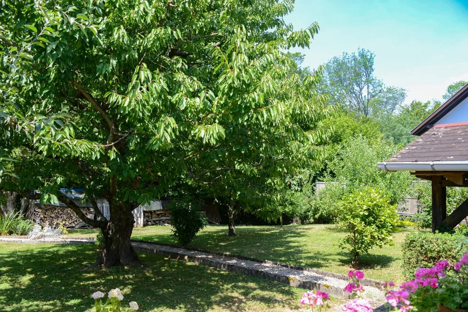 Folgensbourg – Maison individuelle dépendante avec grand terrain et forêt privée
