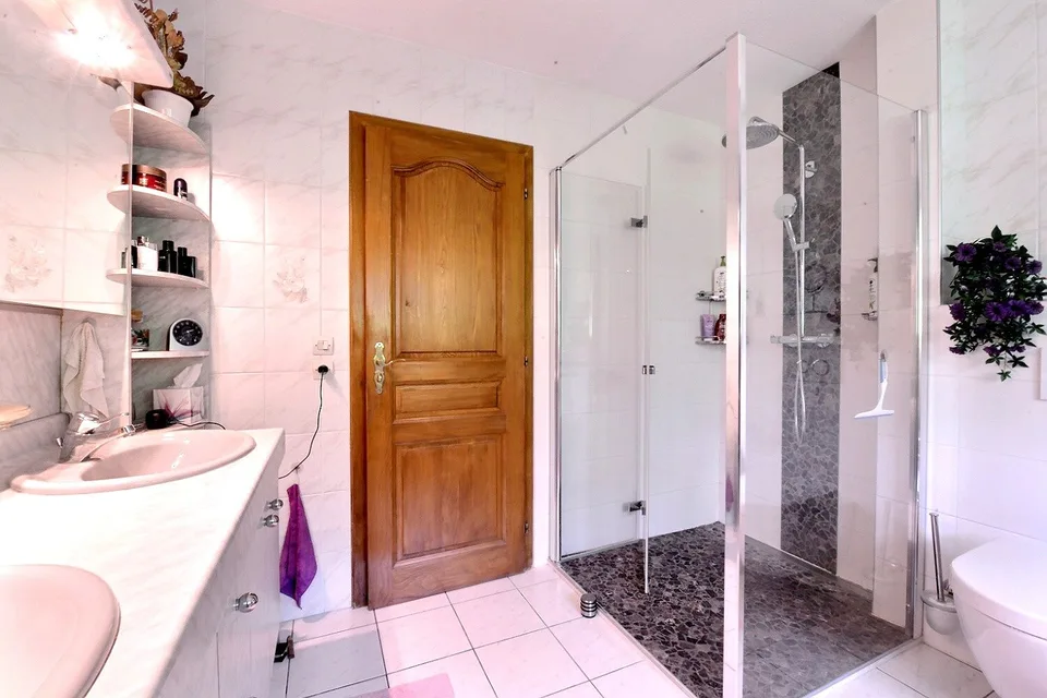 Folgensbourg – Maison individuelle dépendante avec grand terrain et forêt privée – photo 23 sur 29