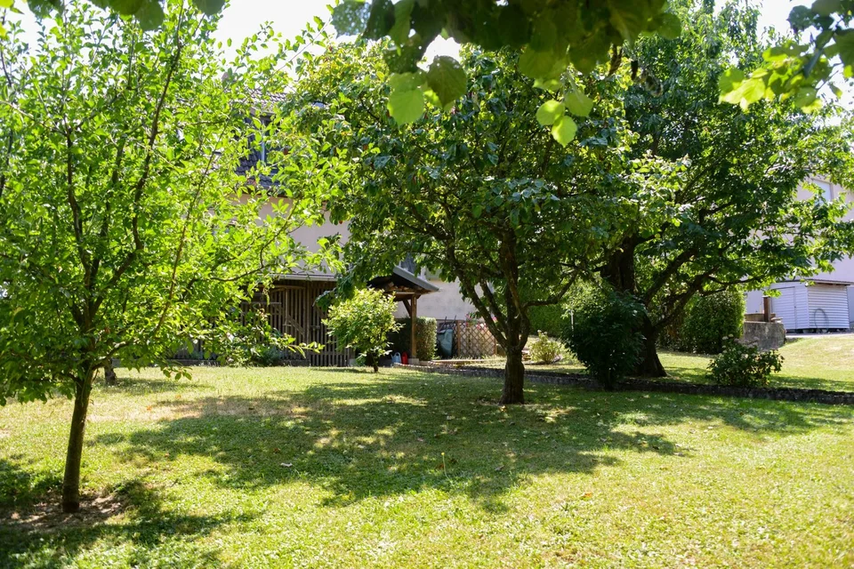 Folgensbourg – Maison individuelle dépendante avec grand terrain et forêt privée – photo 29 sur 29