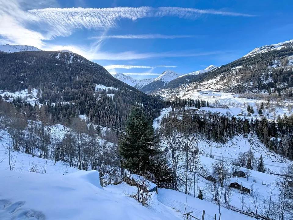 Kanadische Blockhütte mit zwei Wohnungen und atemberaubendem Blick