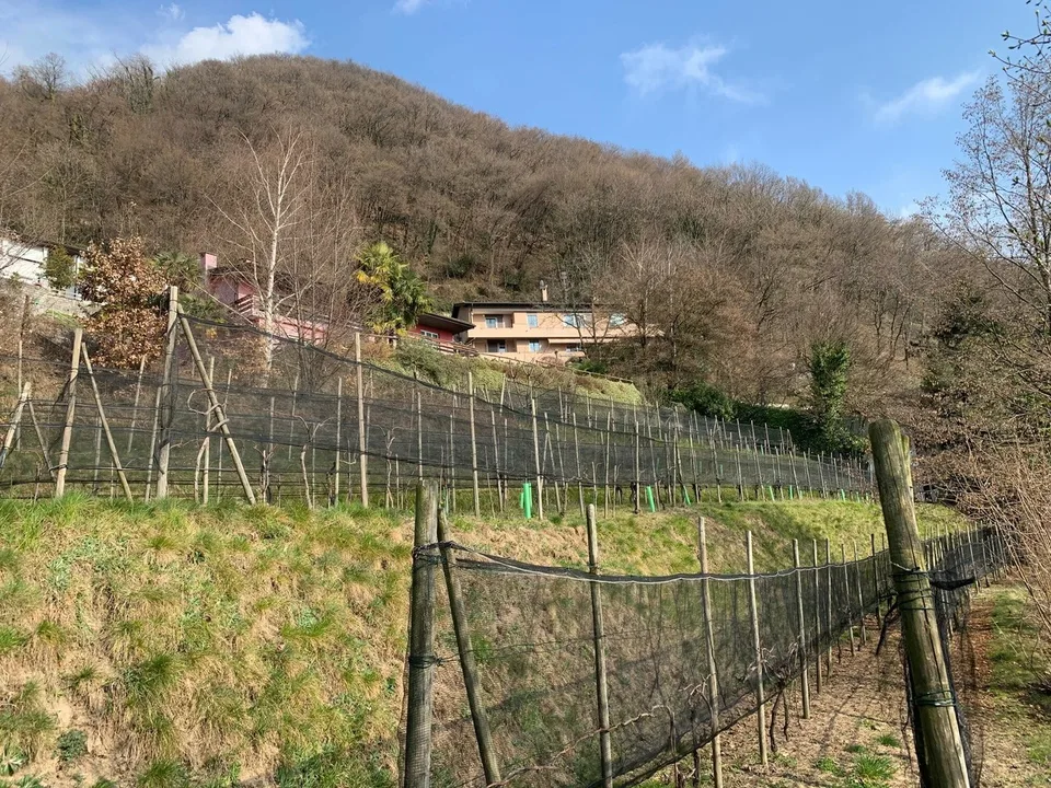 BEL TERRENO EDIFICABILE