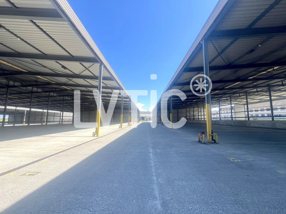 Magazzini per stoccaggio da 1000 m2 in affitto a St Prex – foto 7 di 13