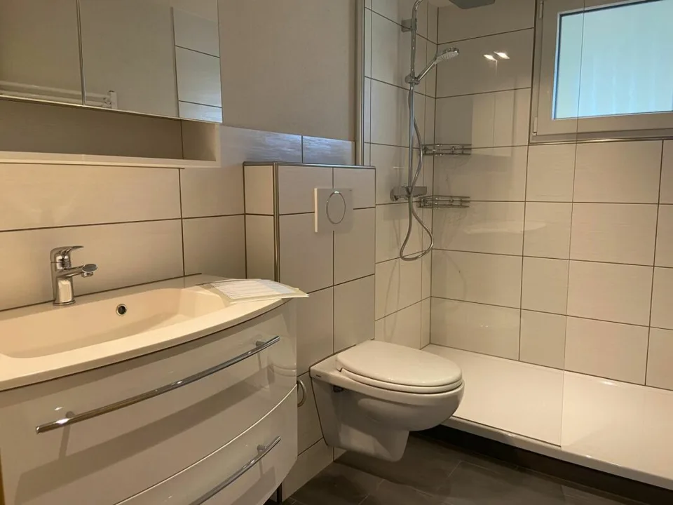 Vivere come in una casa unifamiliare - appartamento ristrutturato di 5,5 locali con un ambiente meraviglioso (circa 600 m2)